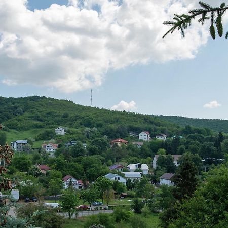 Complex Caprice-Monteoru Otel Sărata-Monteoru Dış mekan fotoğraf